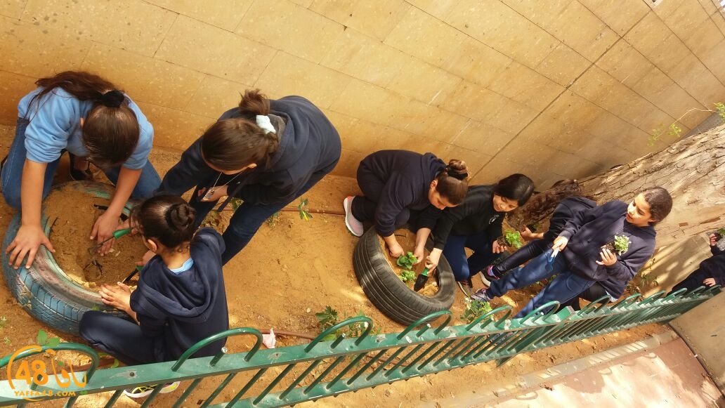 jsahrqwrjqlaskd (24).jpg